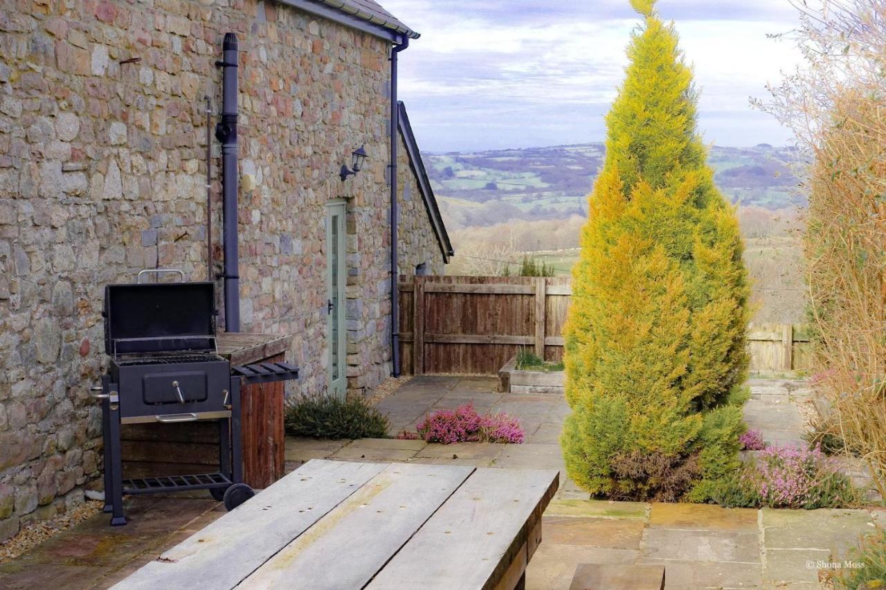 Rhiwddu Barns Villa Llangadog Exterior foto