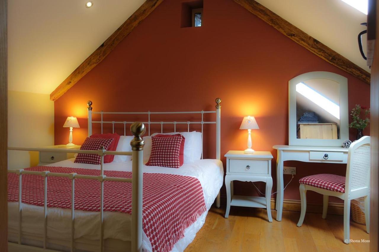 Rhiwddu Barns Villa Llangadog Cameră foto